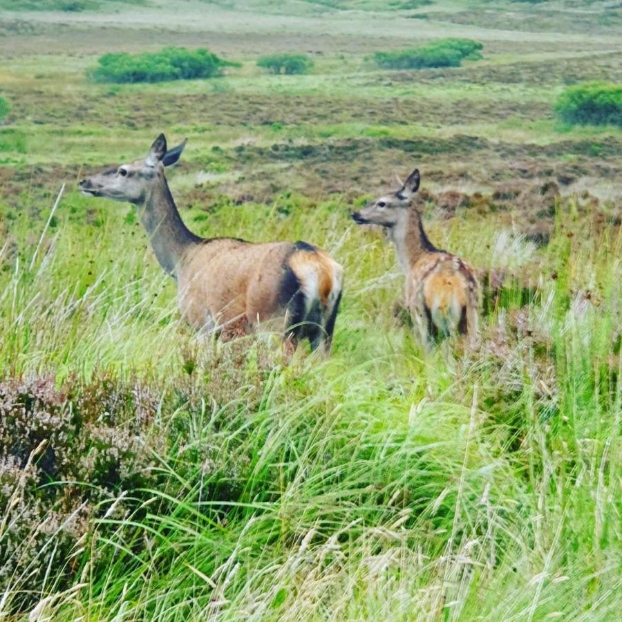 Deer Green Place Villa Kinloch Kültér fotó